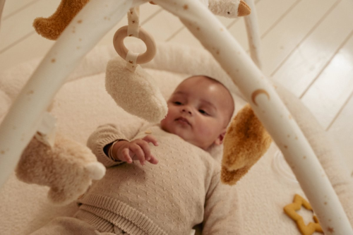 Hrací deka s hrazdou Newborn Naturals Little Dutch