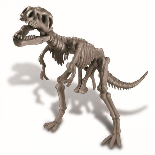 4M Dinosauří kostra - Rex