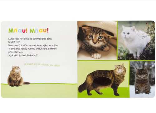 Poslouchej, kdo to může být? Chundelatá zvířata