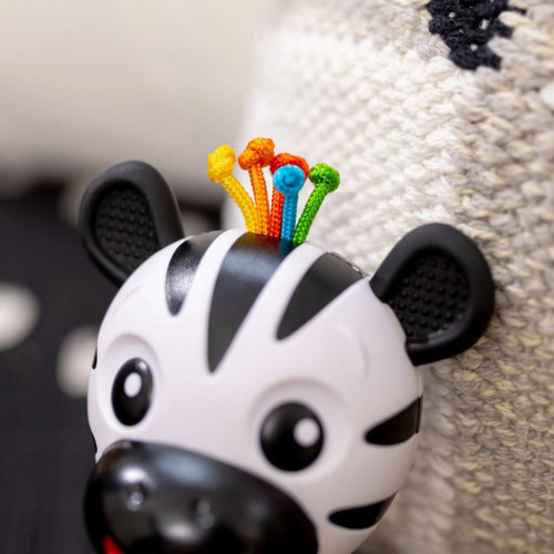 Kousátko s chrastítkem zebra Zen™ Shake-a-Shape bez Bpa 0 m+ Baby Einstein
