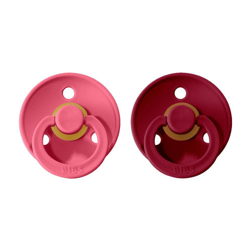 Dudlíky kaučuk 2 ks 0-6 měsíců Colour Bibs
