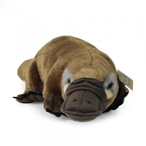 Plyšový ptakopysk 30 cm ECO-FRIENDLY Rappa