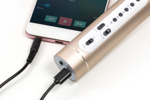 Mikrofon karaoke Bluetooth na baterie s USB kabelem