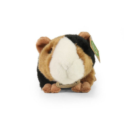 Plyšové morče 22 cm EEco-Friendly Rappa