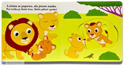 Leporelo MiniPEDIE – Dobrý den, lvíče!