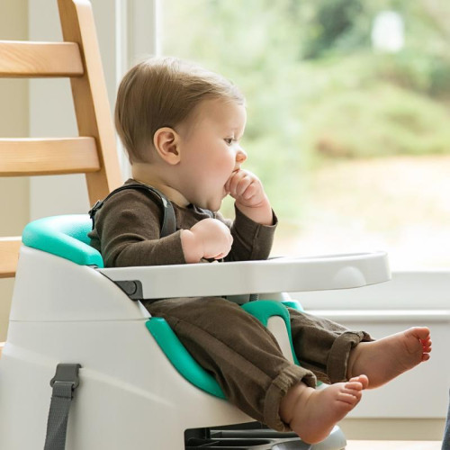 INGENUITY Podsedák na jídelní židli 2v1 Baby Base 6m+, do 22 kg