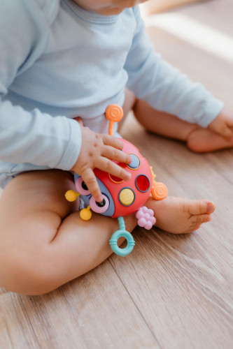 Tahoulíček beruška plast 15 x 11 cm Babyted