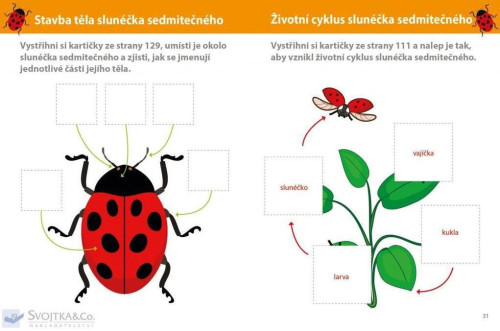Můj velký sešit Montessori objevuj svět