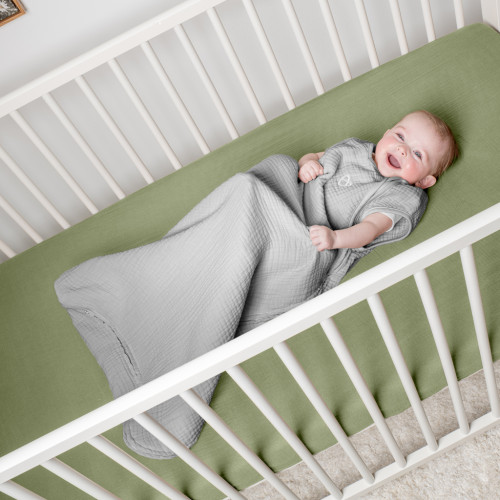 Vak spací bavlněný Tog 2,5 SwaddleMe™ 3 m+ Ingenuity