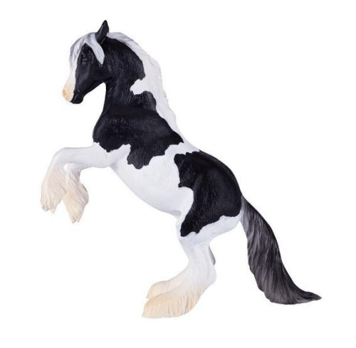 Mojo Hřebec Gypsy Vanner