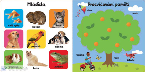 Leporelo Podívej se pod okénko - prvních 100 slov