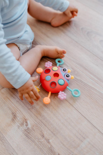 Tahoulíček beruška plast 15 x 11 cm Babyted