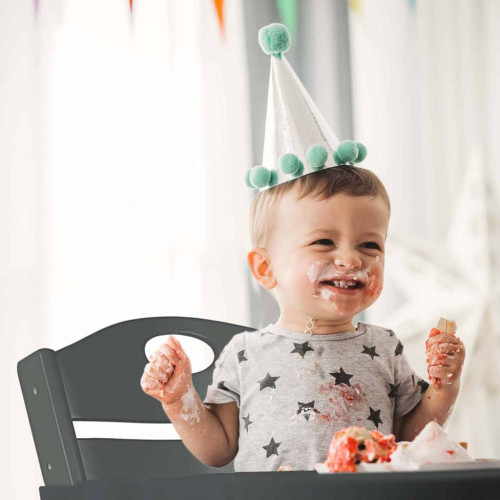 Jídelní židlička Family XL BabyGO
