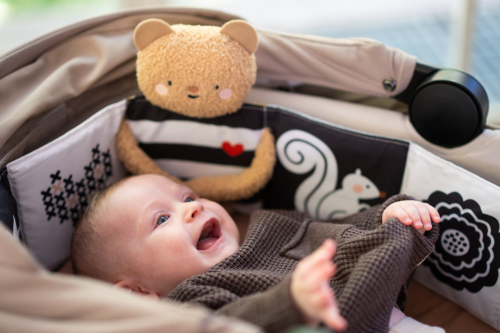 Medvídek plyšový s knížkou Snuggle Bear Taf Toys