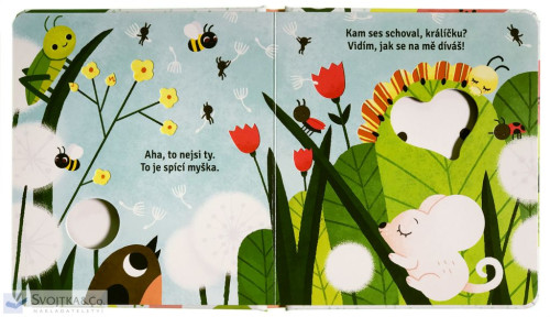 Svojtka Kam ses schoval, králíčku?