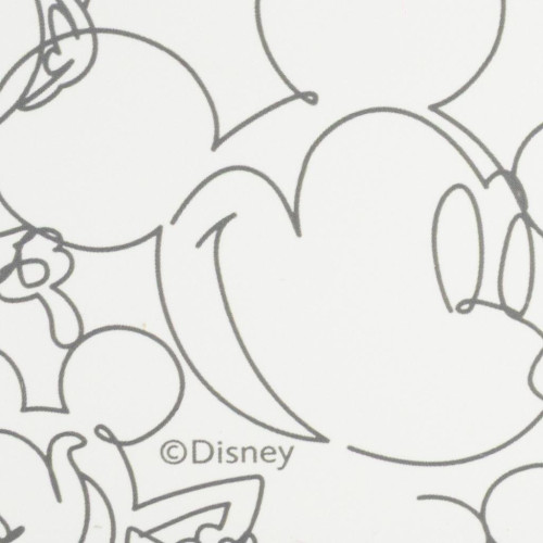 Box na salát To Go 1810 ml Mickey Mouse