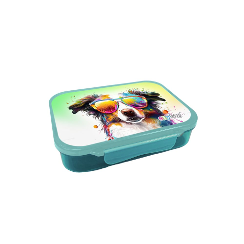 Box na svačinu s přihrádkami crazy animals OxyBag