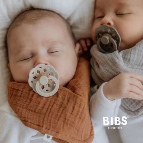 Dudlíky kaučuk 2 ks 0-6 měsíců Boheme Bibs
