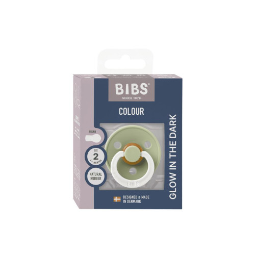 Bibs Colour dudlík z přírodního kaučuku 1 ks 6 - 18 měsíců
