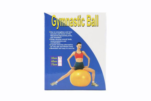 Gymnastický míč 55cm