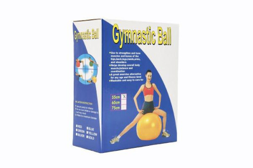 Gymnastický míč 55cm