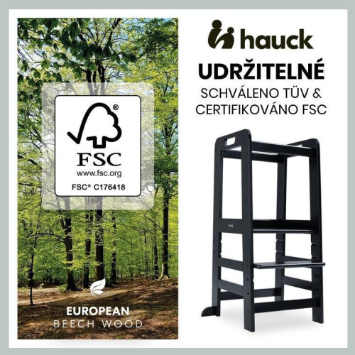 Hauck Učící věž Learn N Explore