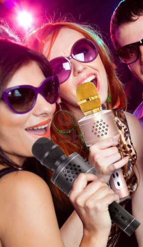 Mikrofon karaoke Bluetooth na baterie s USB kabelem