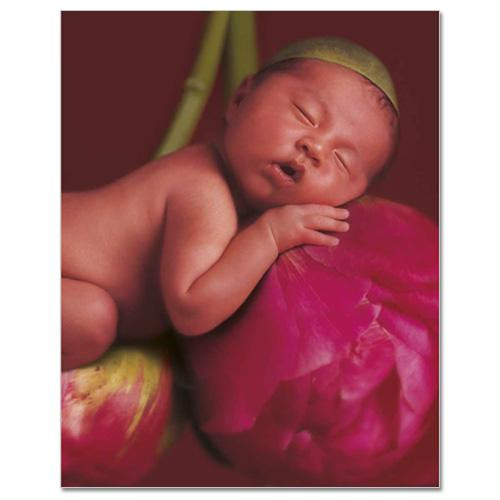 Kniha Mých Prvních Pět Let Anne Geddes - Růže - X-Large