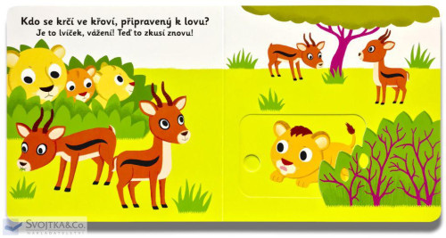 Leporelo MiniPEDIE – Dobrý den, lvíče!