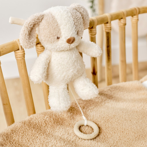 Hračka plyšová hudební Teddy pejsek Nattou 24 cm, 0 m+