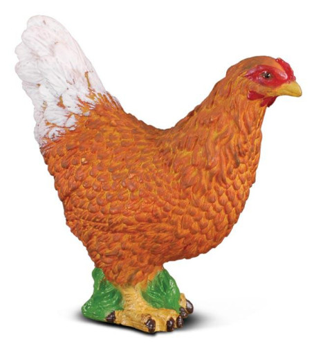 Slepice Collecta