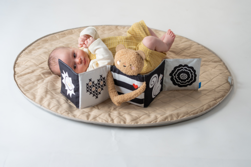 Medvídek plyšový s knížkou Snuggle Bear Taf Toys
