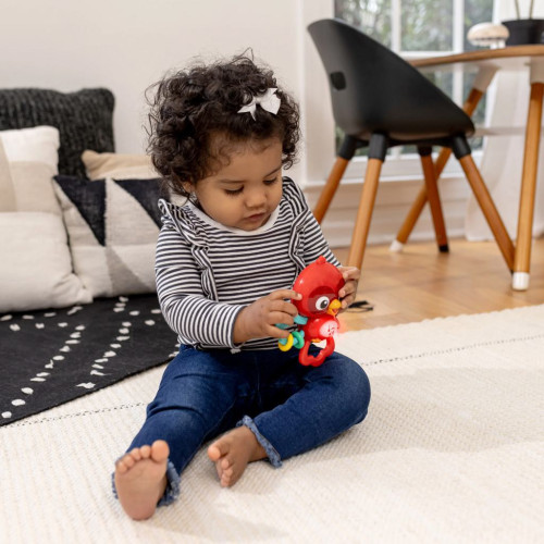 Hračka hudební senzorická Roxy's Bright Flight™ 3 m+ Baby Einstein