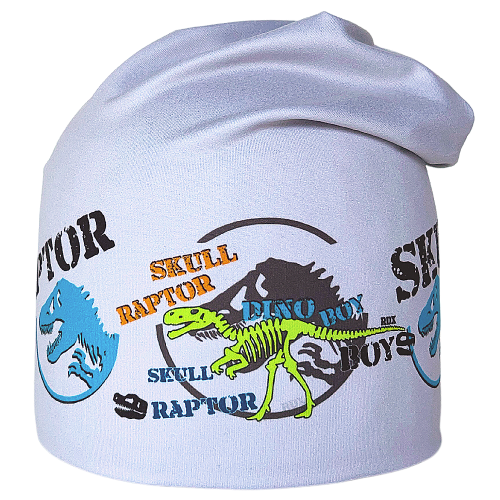 Funkční oboustranná čepice Dinosauři RDX Šedá/Modrá