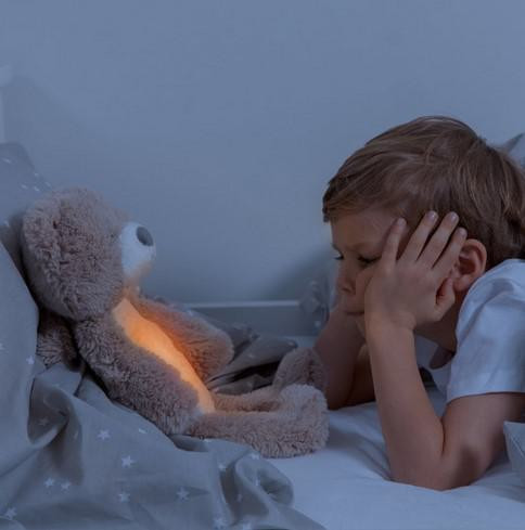 Zazu Medvídek Brody sleeptrainer s melodiemi a nočním světlem
