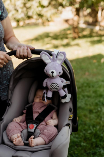 Chrastítko plyš 30 cm závěs na postýlku/kočárek 0 m+ babyted