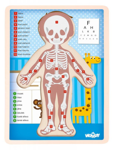 Puzzle Lidské tělo - Kluk CZ