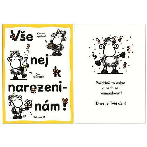 Blahopřání Sheepworld - Narozeniny 19 - TVŮJ DEN