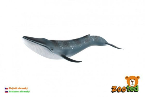 Plejtvák obrovský zooted plast 27 cm