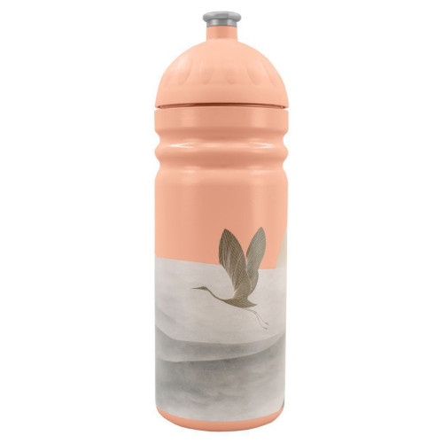 Zdravá láhev na pití 0,7 l