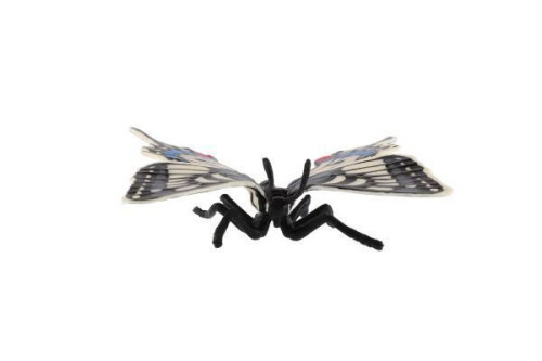 Motýl tropický Papilio/otakárek fenyklový zooted plast 8 cm