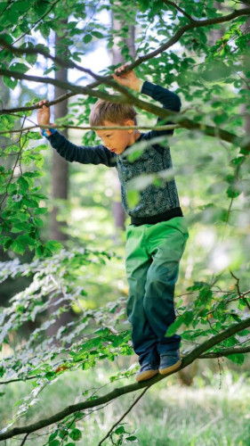 Softshellové kalhoty dětské Mozaika zelená Wamu