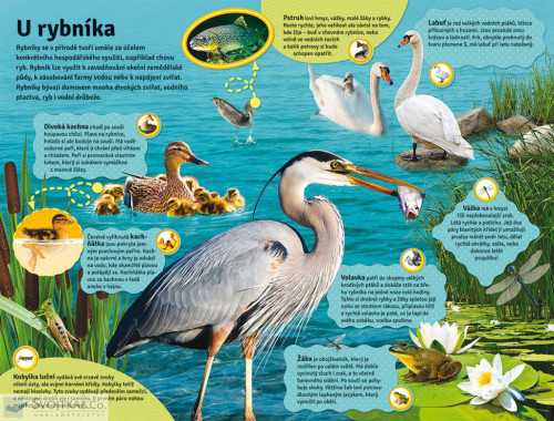 Velká kniha zvuků na farmě