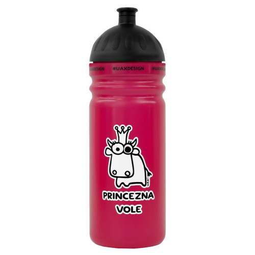 Zdravá láhev na pití 0,7 l