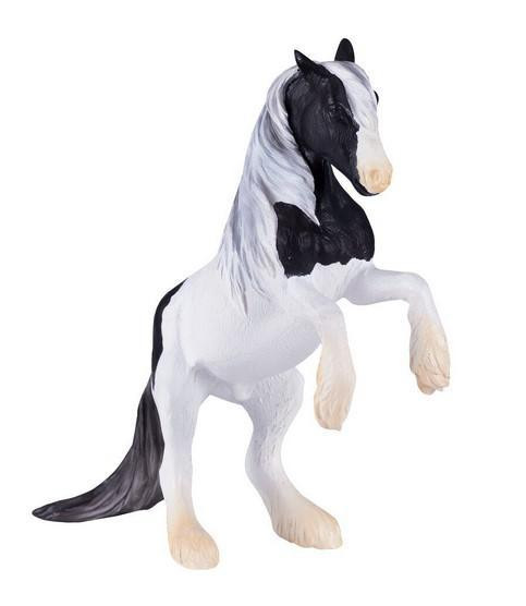 Mojo Hřebec Gypsy Vanner