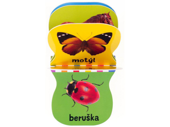 Zvířata