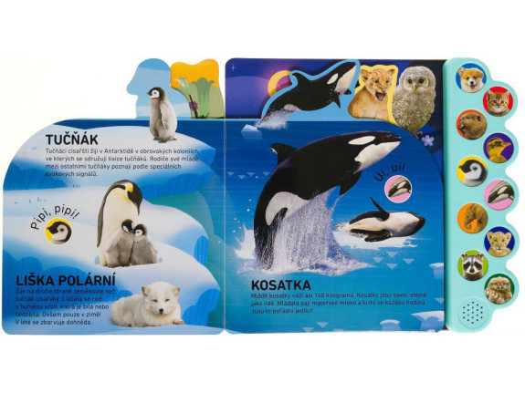 Haf! Mňau! Poslechněte si mláďata z celého světa!