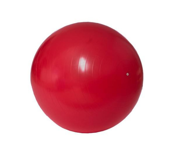 Gymnastický míč 55cm