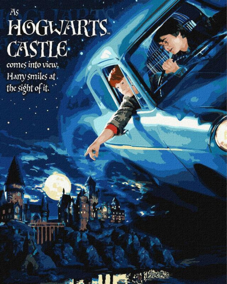 Malování podle čísel - Harry Potter Let autem 40 x 50 cm
