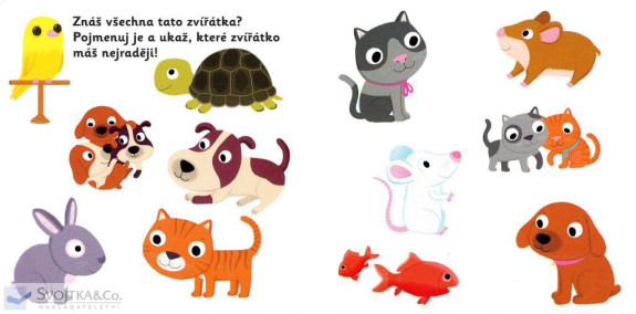 MiniPEDIE – Objevujeme svět! Domácí mazlíčci